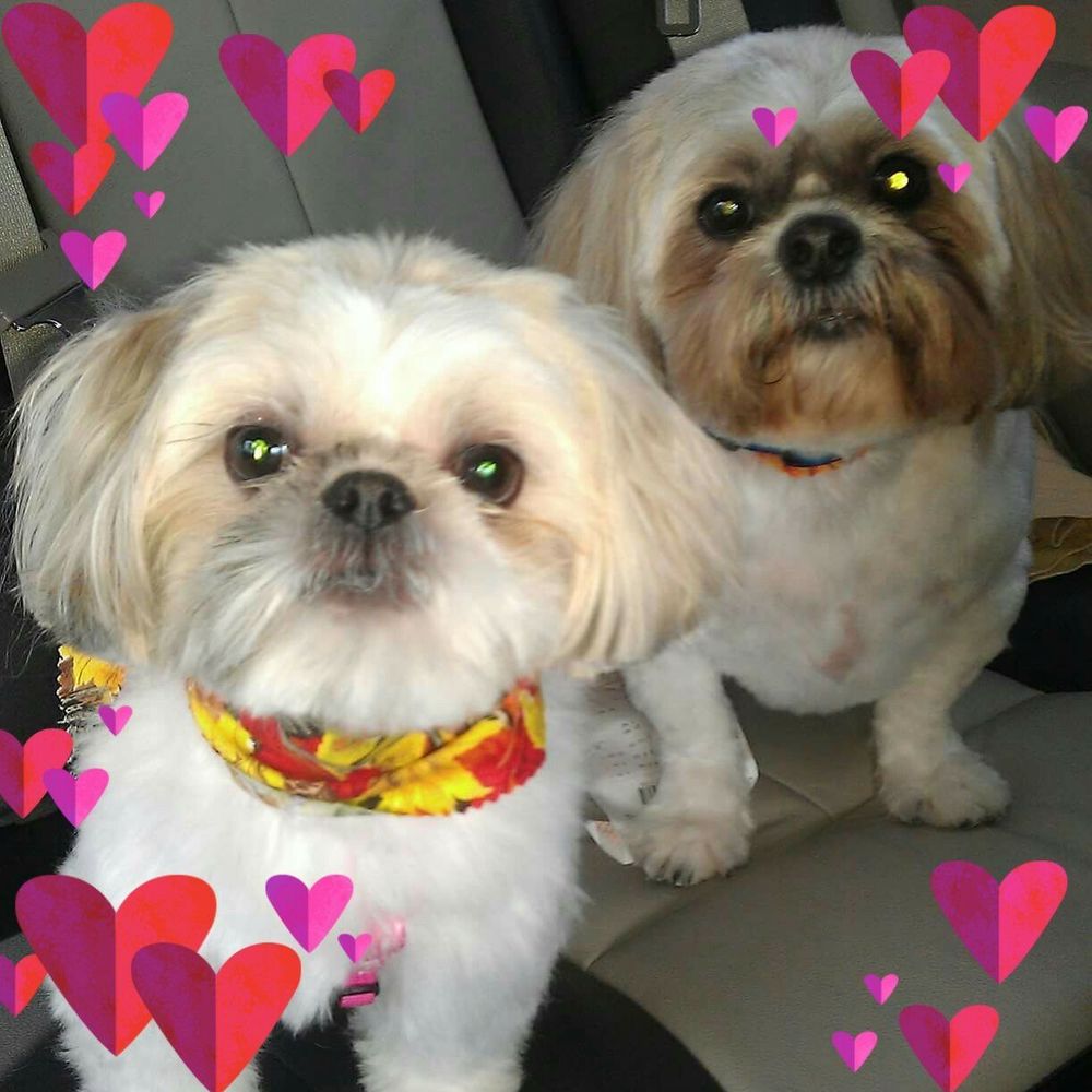 Meet your Posher, Linda